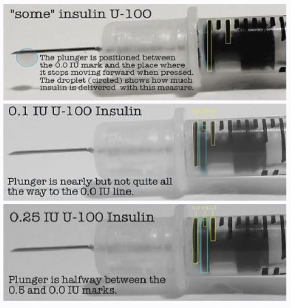 Screen Shot 2021-01-04 at 11.48.51 AM.png