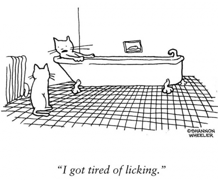 Screen Shot 2021-01-09 at 6.59.36 AM.png