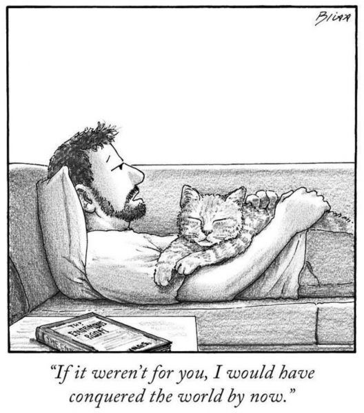 Screen Shot 2021-04-03 at 7.30.49 AM.png