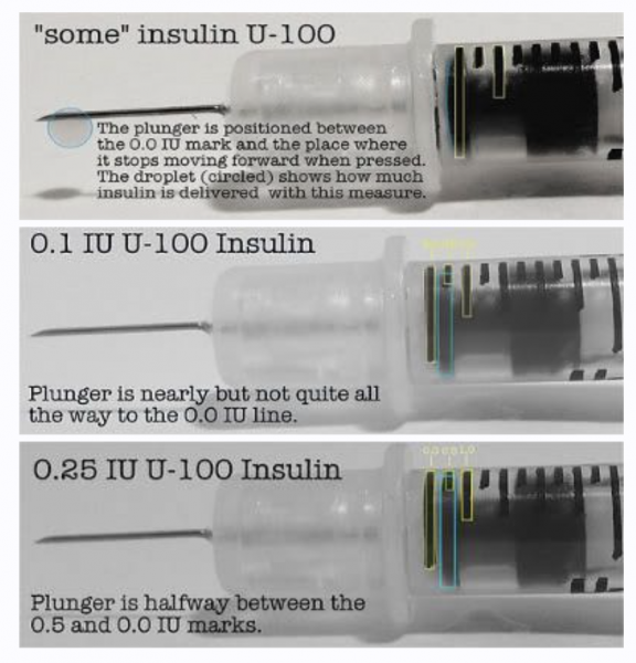 Screen Shot 2021-06-23 at 5.04.32 PM.png