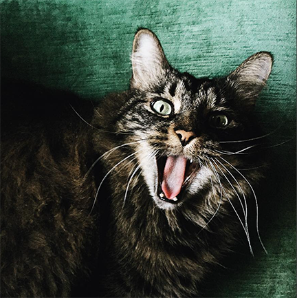 Screen Shot 2022-09-06 at 7.20.36 AM.png