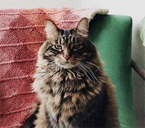 Screen Shot 2022-09-06 at 7.51.09 AM.png