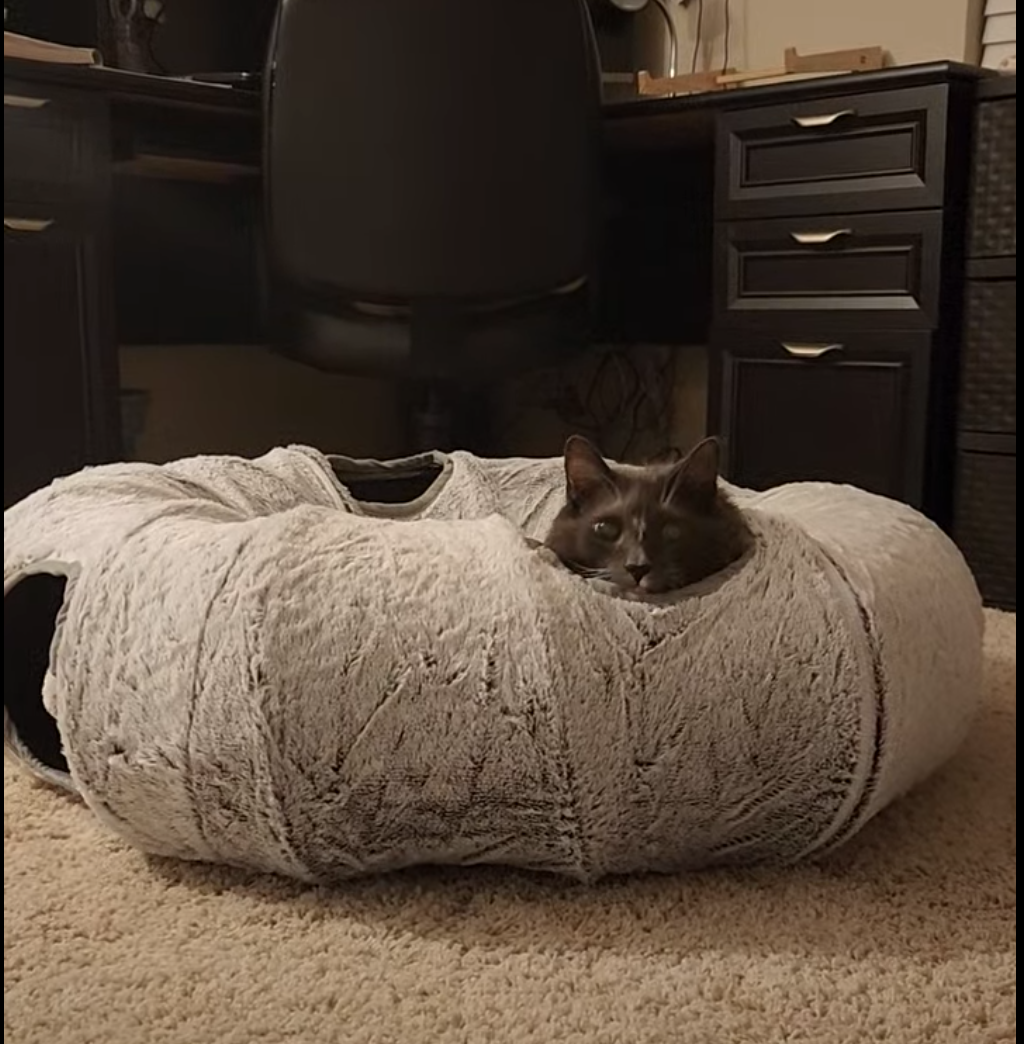 Screen Shot 2025-11-18 at 6.02.07 PM.png