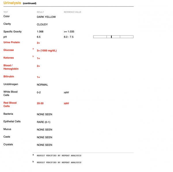 Screenshot 2023-11-09 at 7.19.23 PM.png