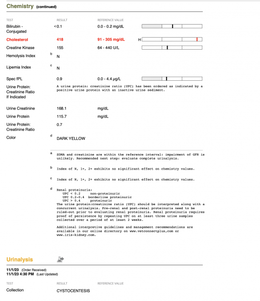 Screenshot 2023-11-09 at 7.19.33 PM.png