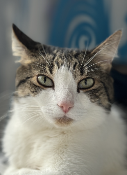 Screenshot 2023-11-09 at 7.44.01 PM.png