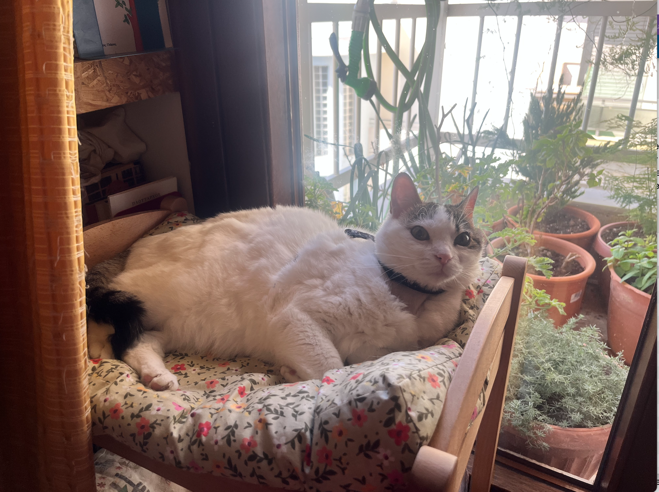 Screenshot 2026-03-12 at 10.28.37.png