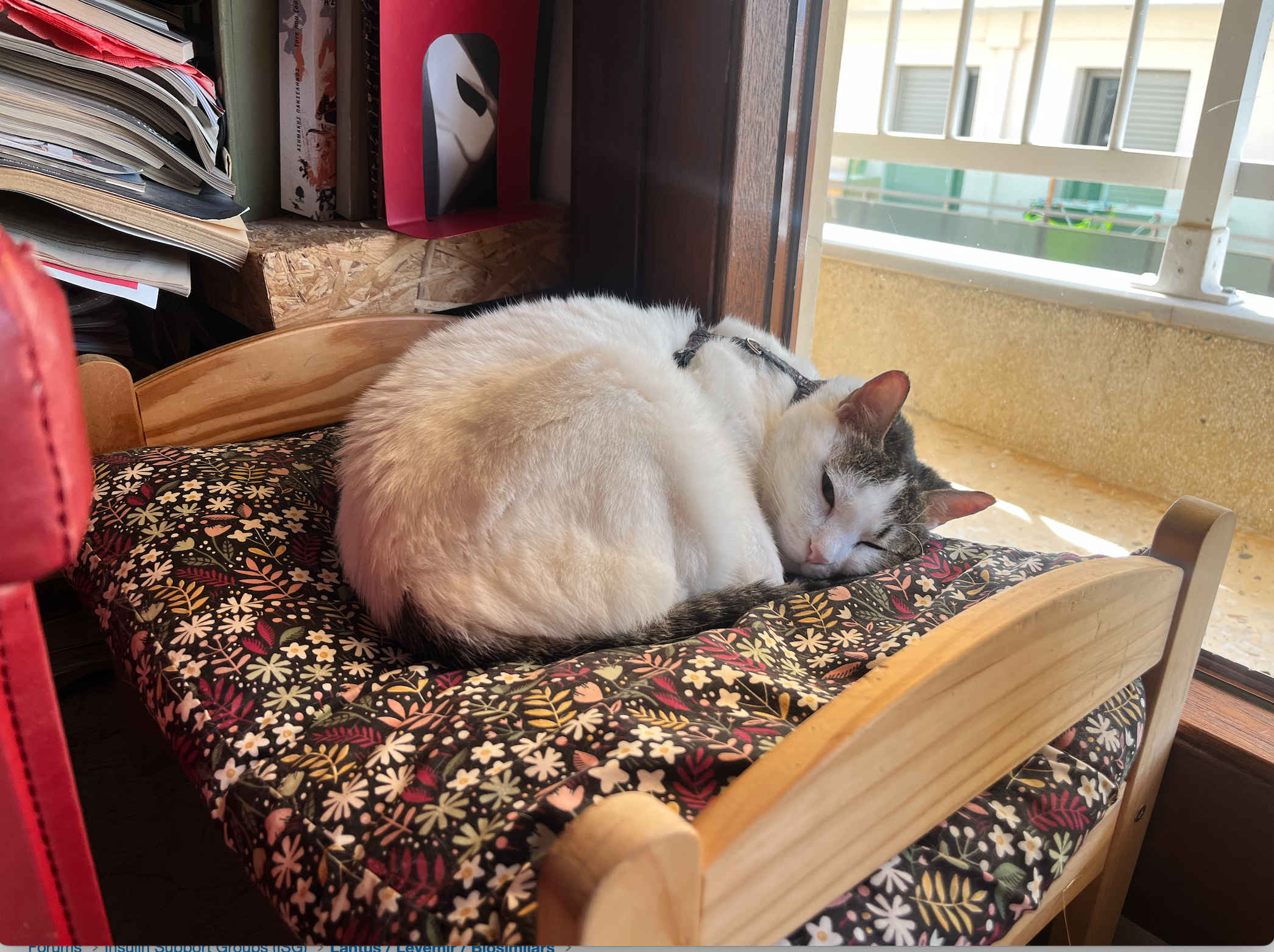 Screenshot 2026-03-13 at 14.42.28.png