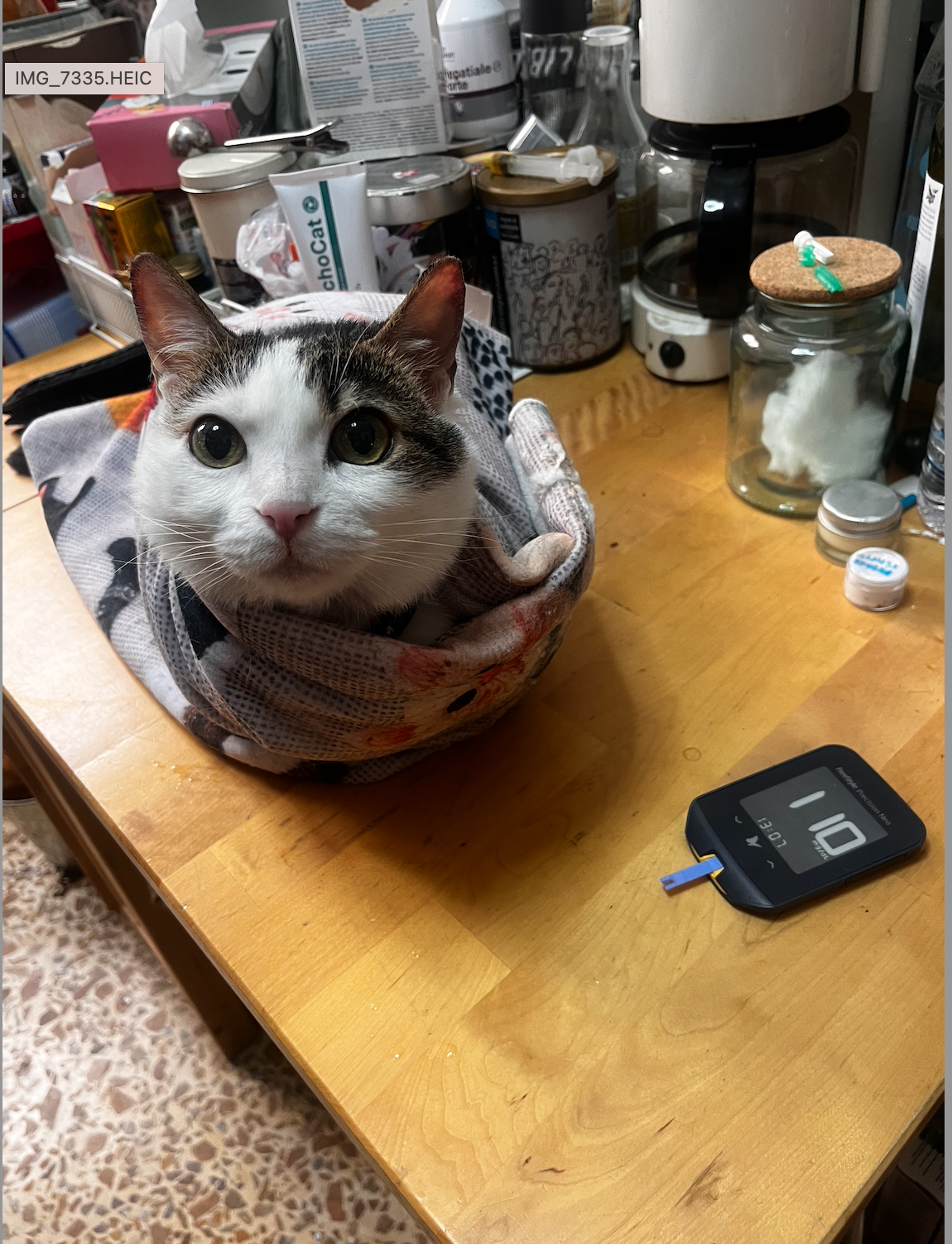 Screenshot 2026-03-14 at 13.23.23.png