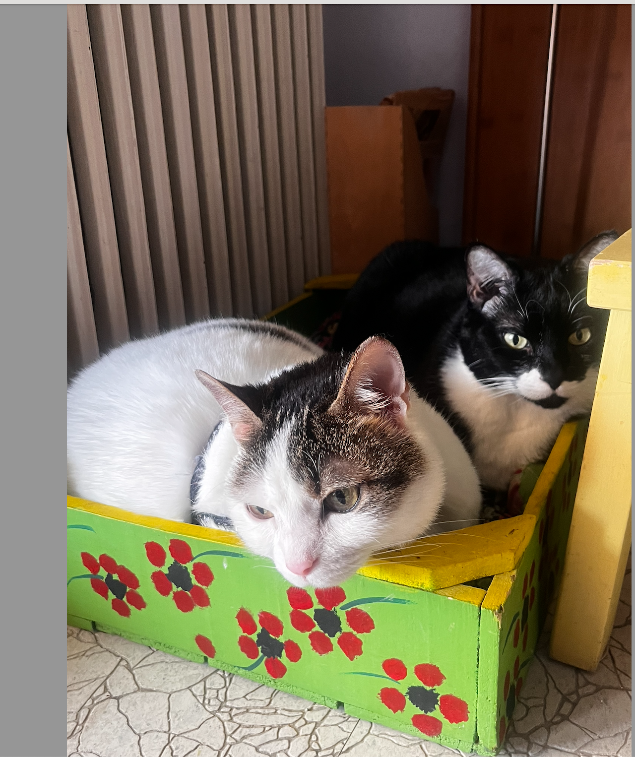 Screenshot 2026-03-14 at 13.35.22.png