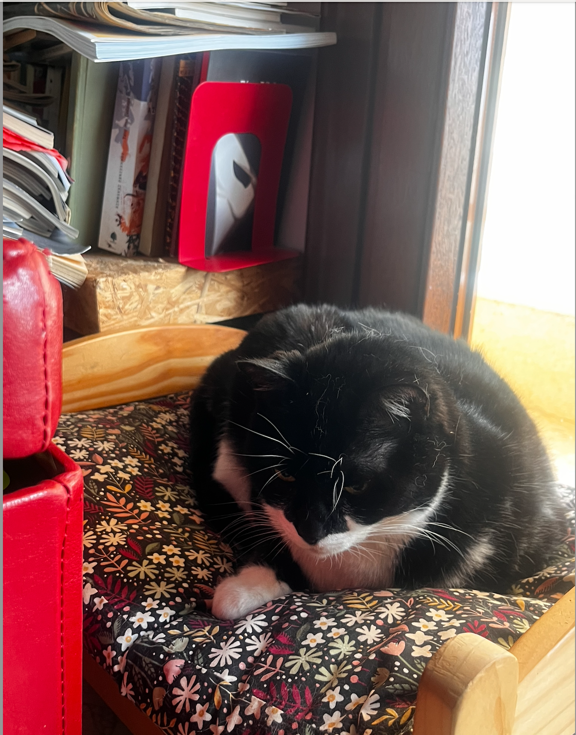 Screenshot 2026-03-14 at 13.35.35.png