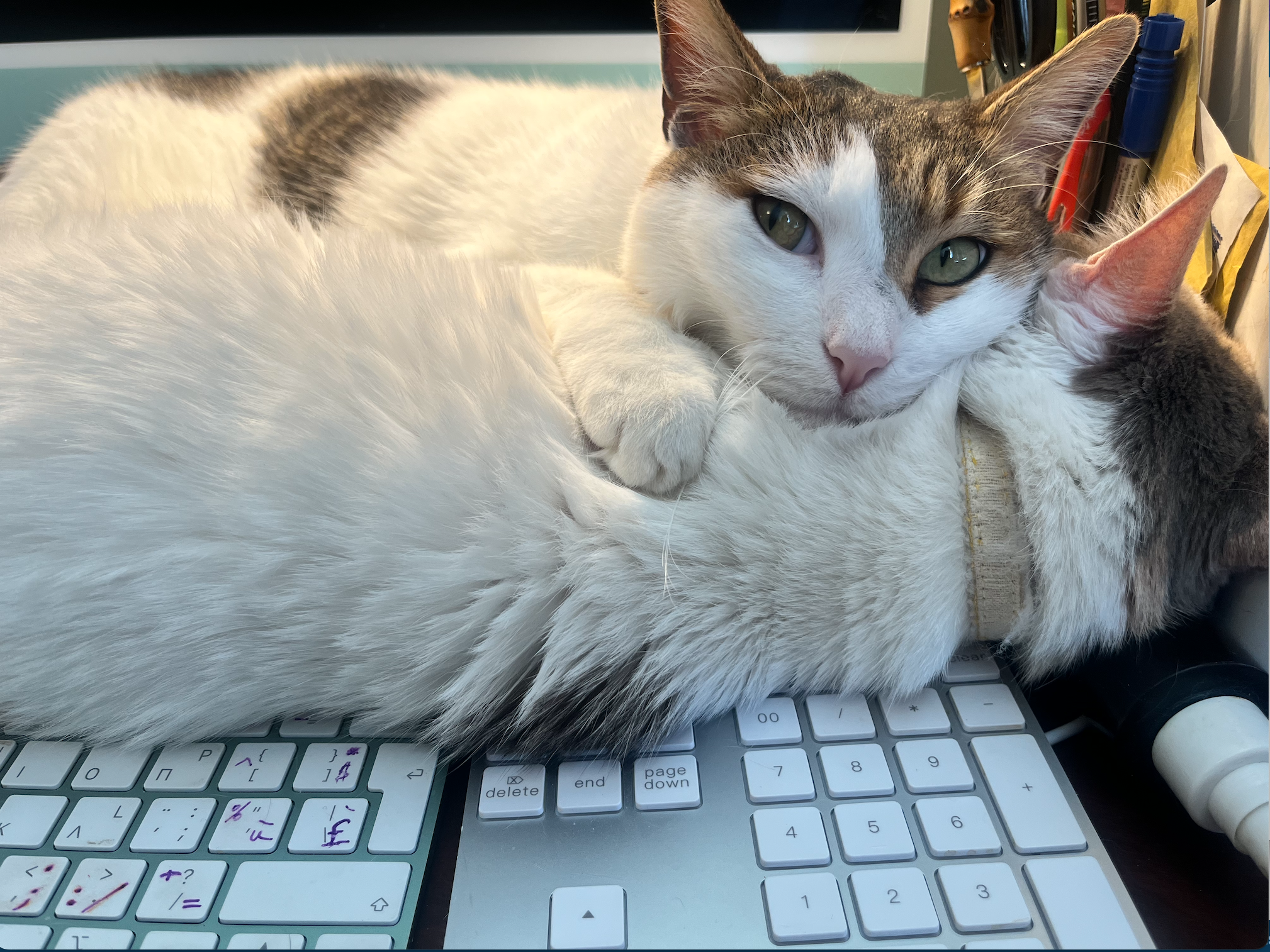 Screenshot 2026-03-14 at 23.33.46.png