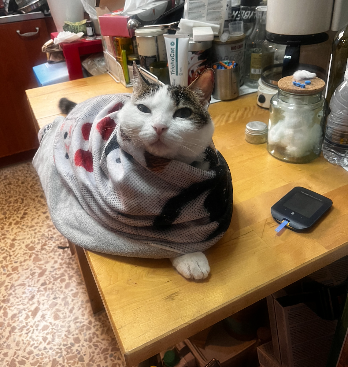 Screenshot 2026-03-16 at 16.19.16.png