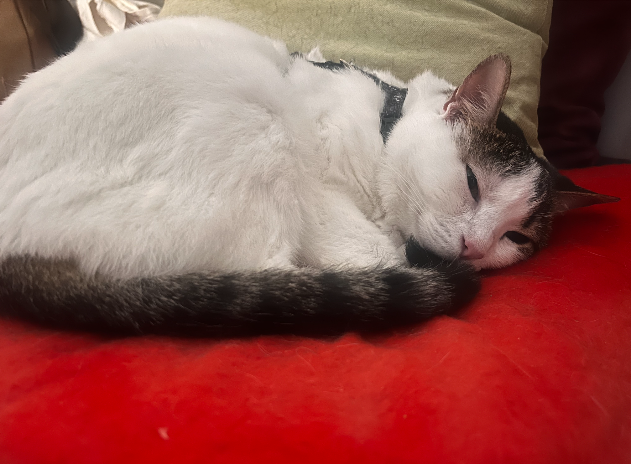 Screenshot 2026-03-24 at 16.51.00.png