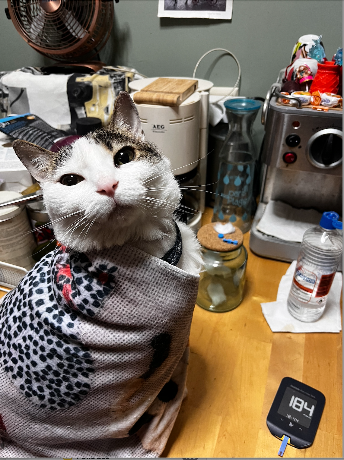 Screenshot 2026-03-25 at 19.06.29.png