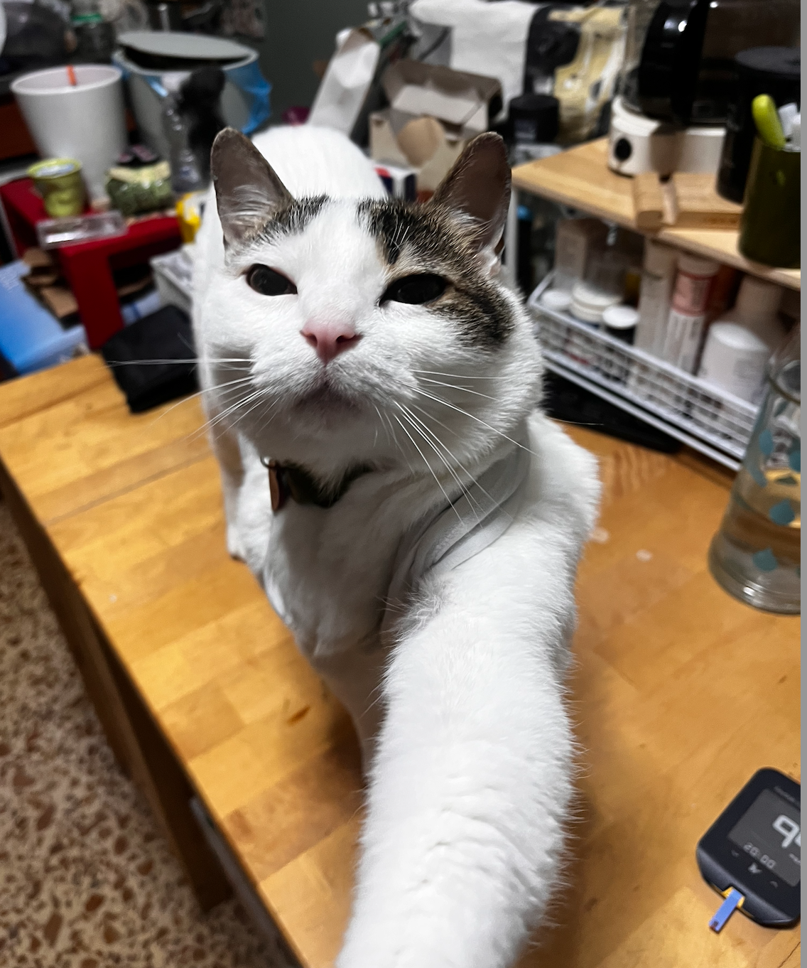 Screenshot 2026-04-03 at 03.20.16.png