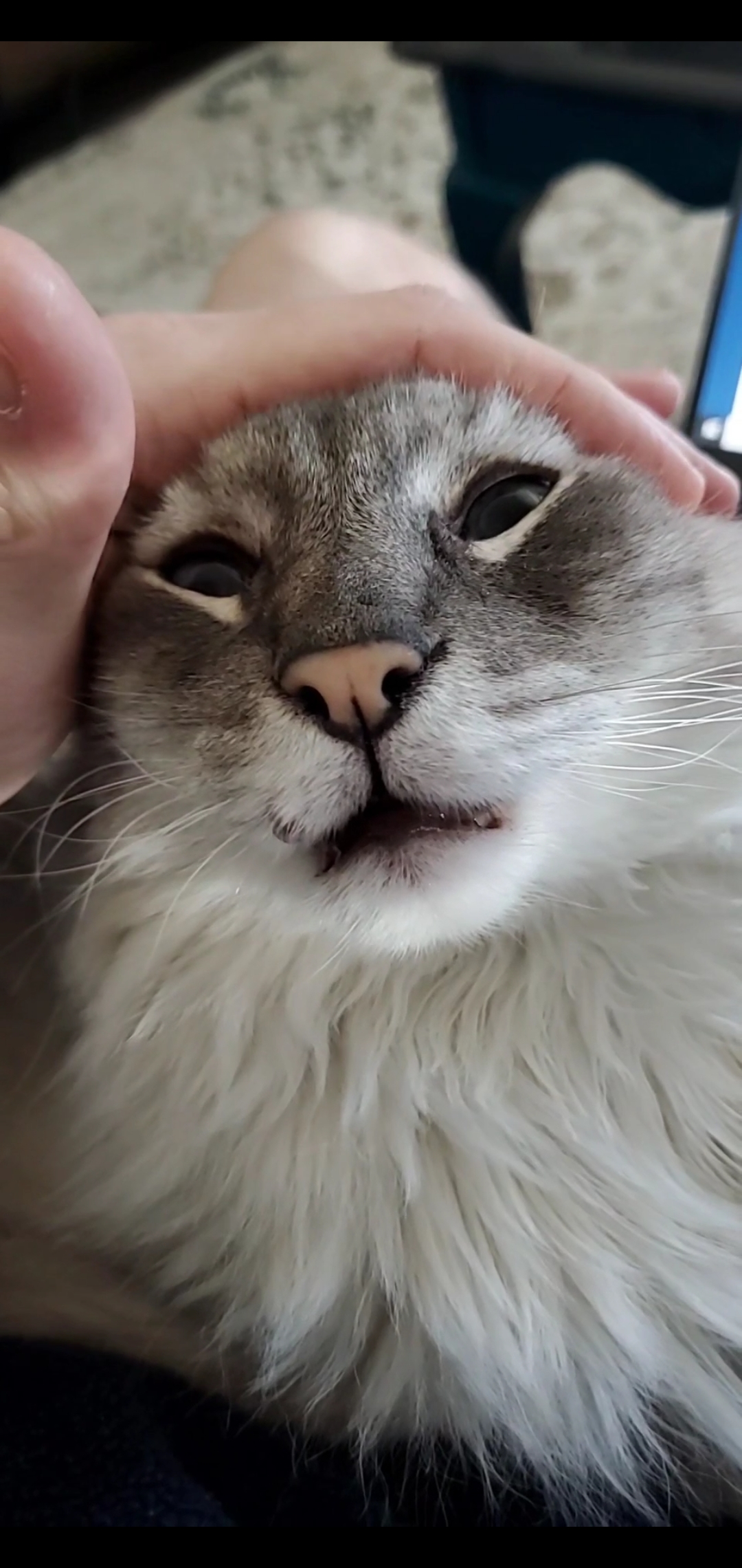 Screenshot_20251125-204619_Video Player.jpg