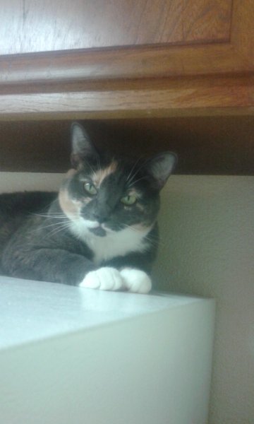 Sept. 2017 pics 002.jpg