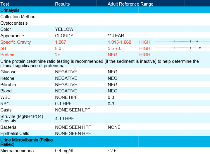 Shadow Urinalysis 3-21-2015.PNG