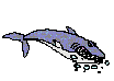 Shark bubbles.gif