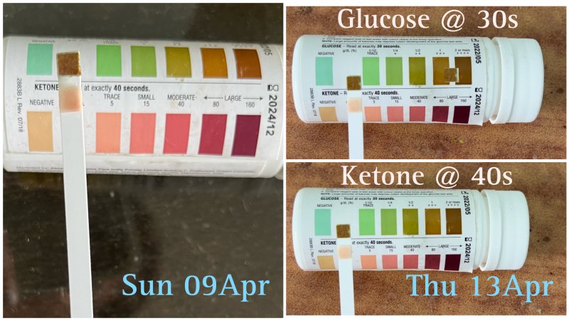 Shen_ketostix_09&13Apr.JPG