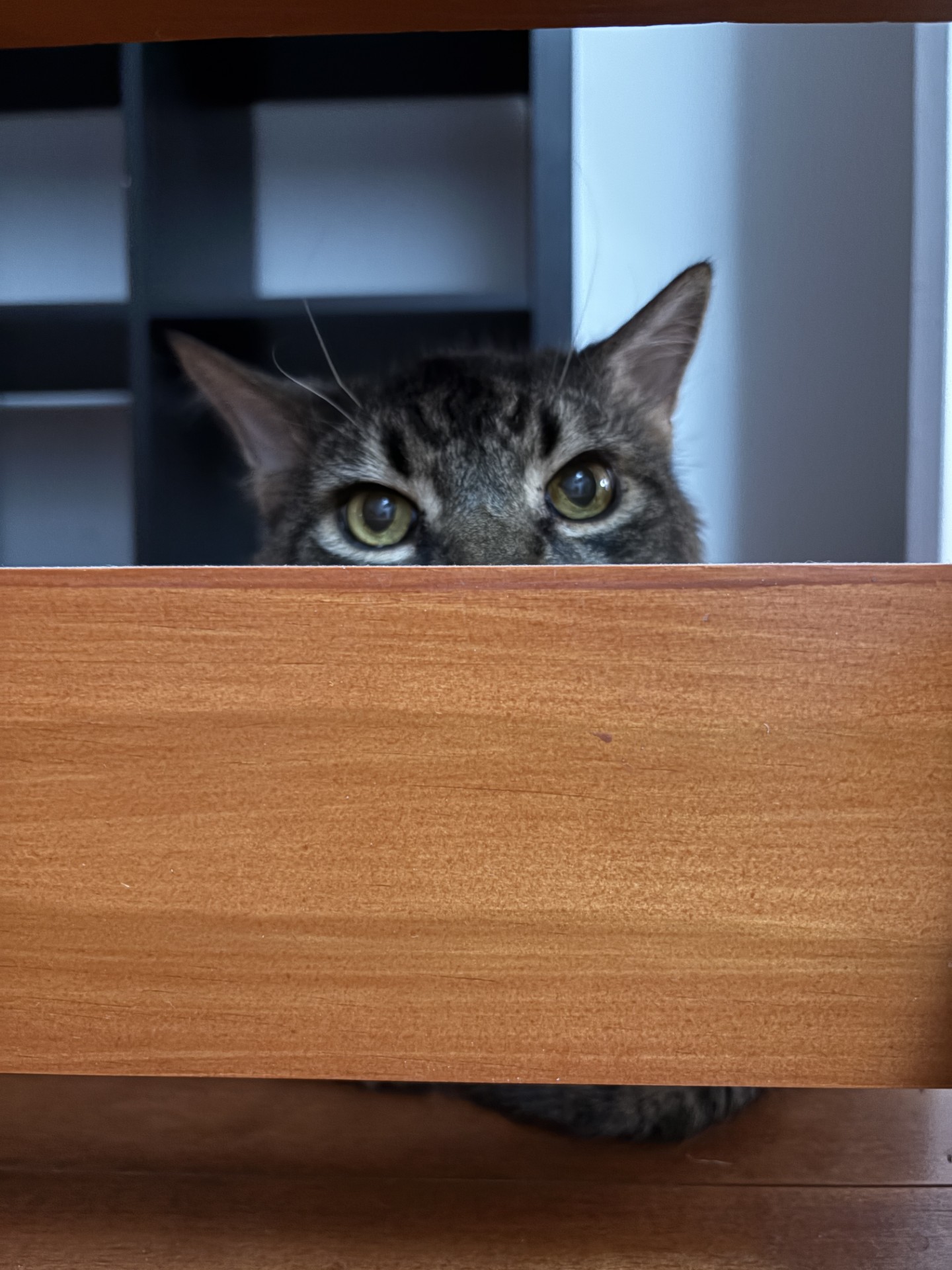 simonlook.jpg