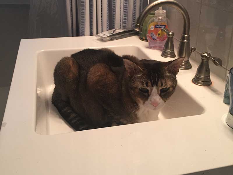 sink.jpg