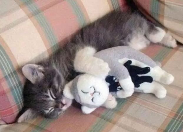 sleep.JPG