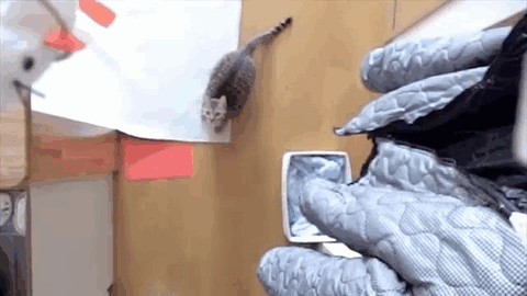slide_278643_2065313_free.gif