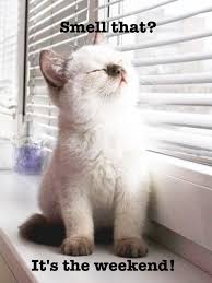 smell the weekend.jpeg