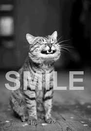Smile.jpeg
