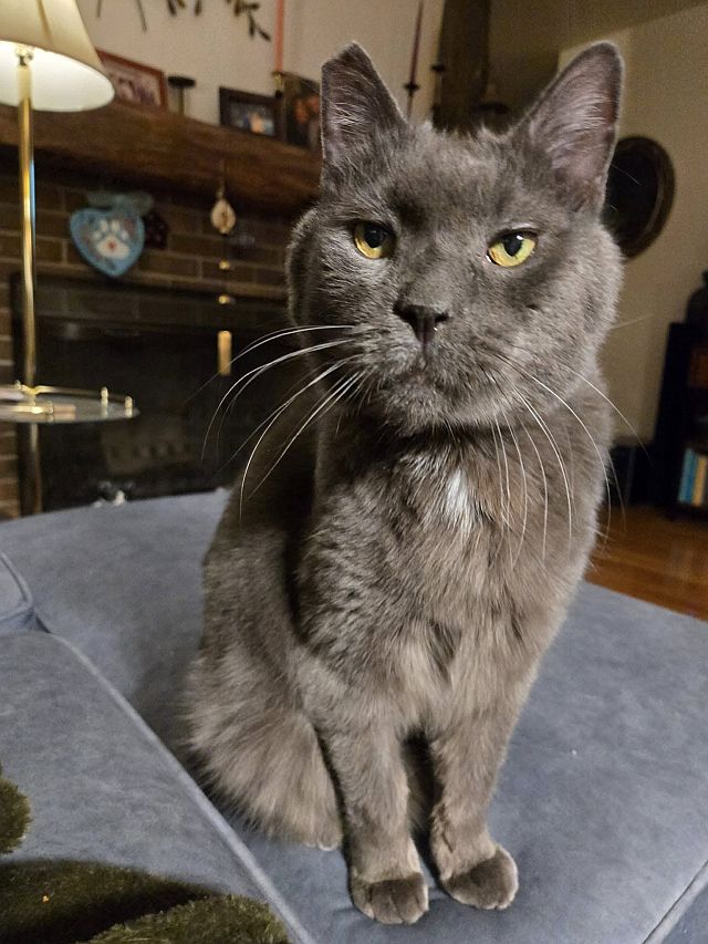 Smokey 241122 resized.jpg