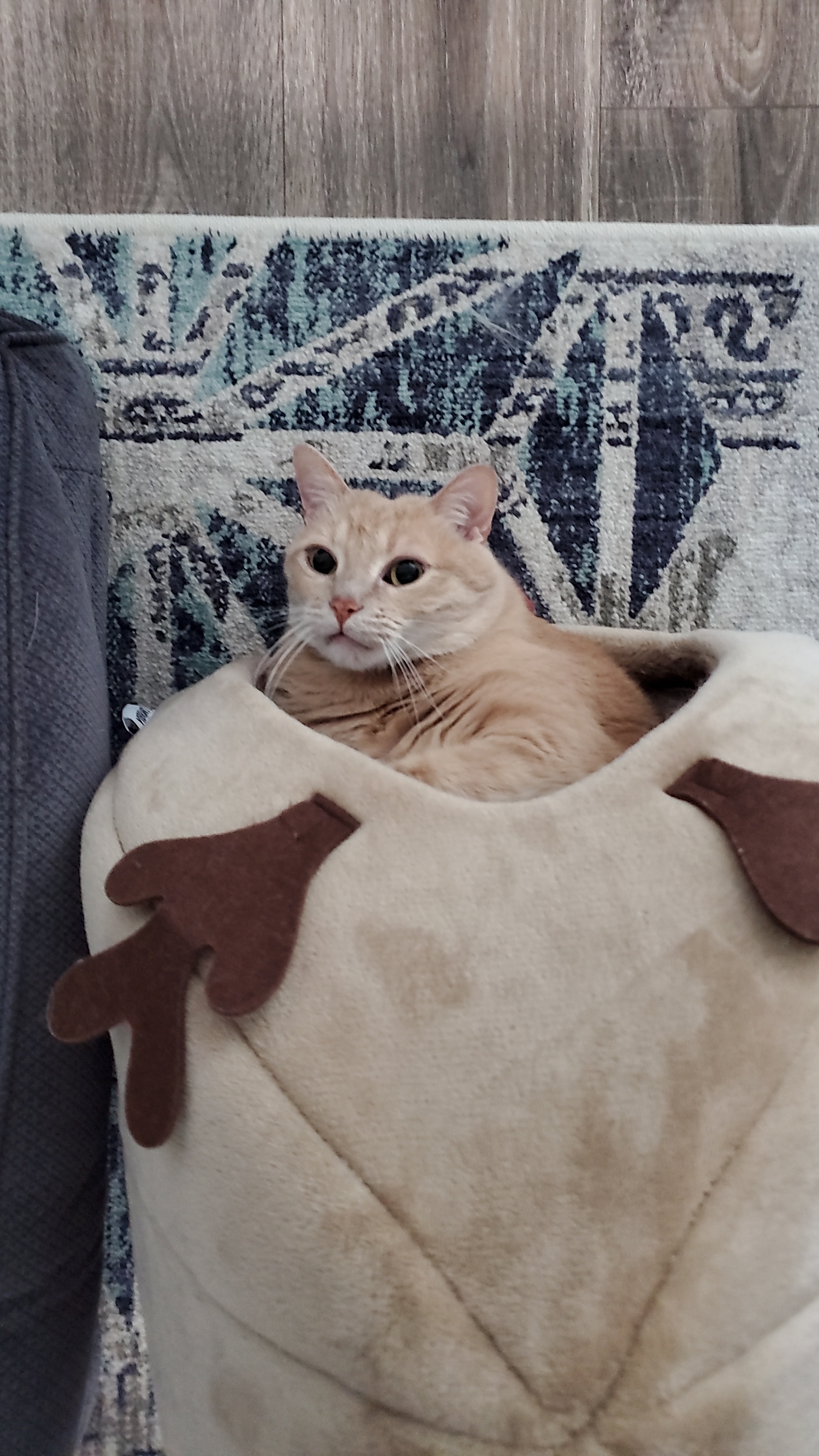 Snapchat-470749145.jpg Snapchat-470749145.jpg