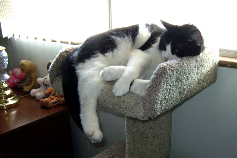 snoozin'.jpg