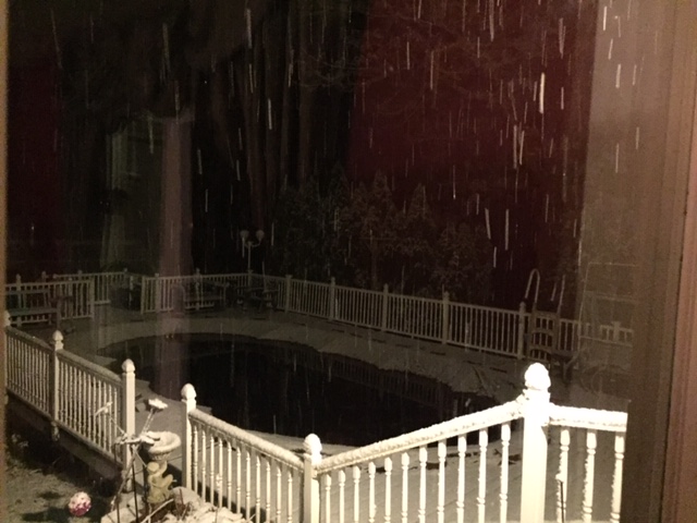 Snowing111218.JPG