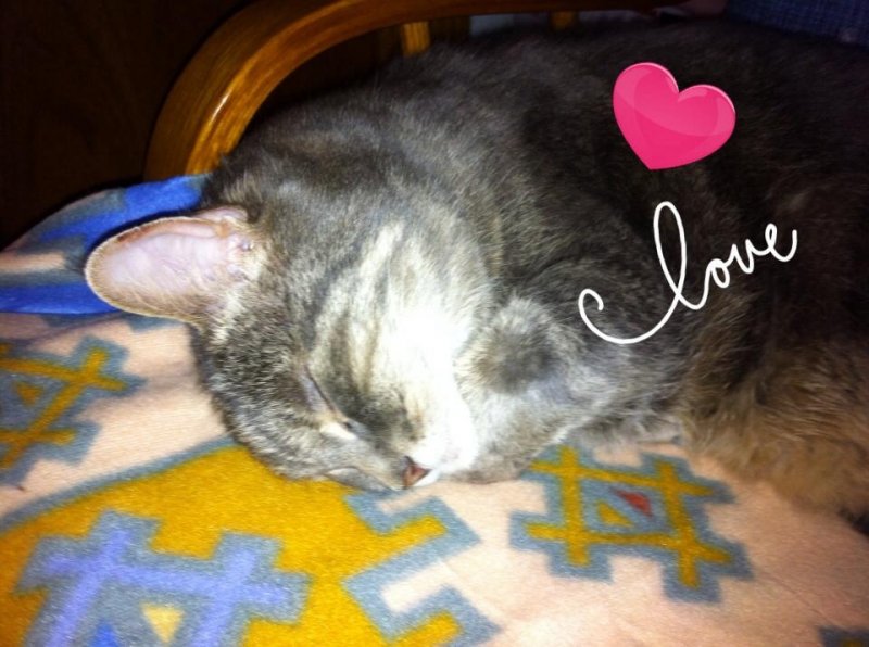 snuggle02212015.jpg