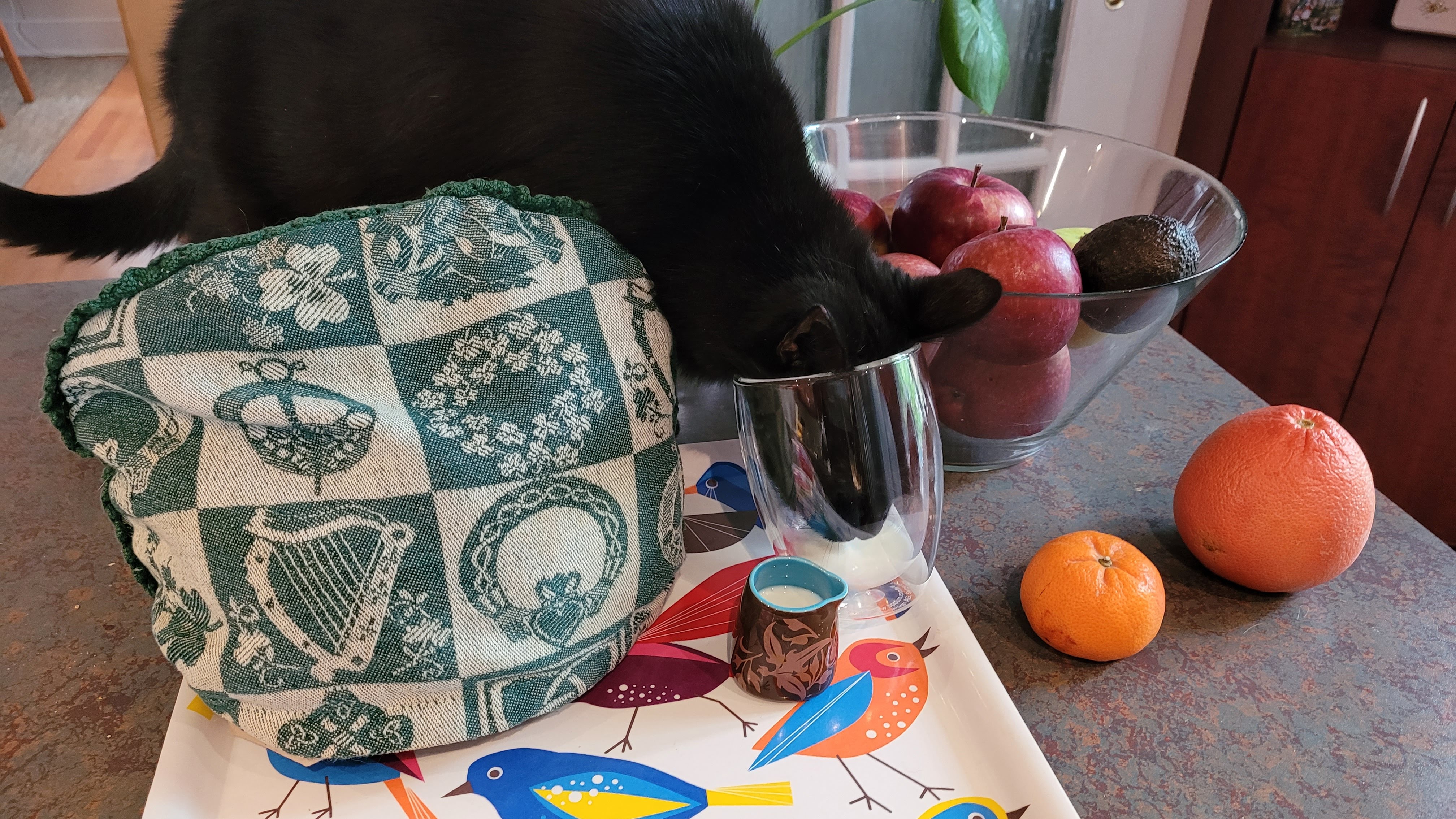 Stay hydrated.jpg