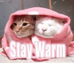 stay warm.jpg