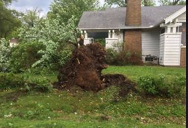 storm damage.PNG