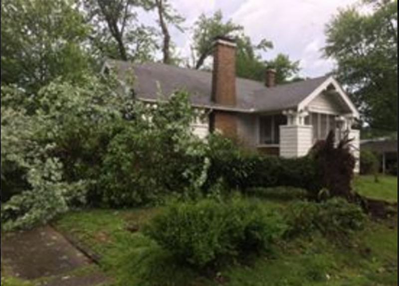 storm damage1.PNG