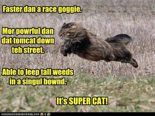 super cat.jpg
