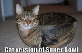 superbowlkitty.png
