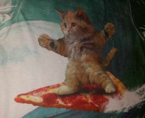 surf kitty.jpg