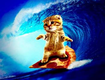 surfing.JPG
