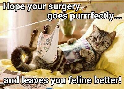 surgery.jpg