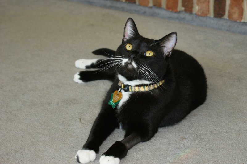 Susie July 2019 #3.JPG