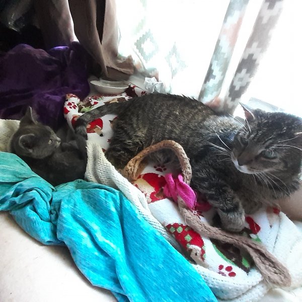 T and R on bed 2.jpg