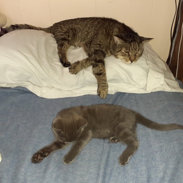 T n R pillow talk.jpg