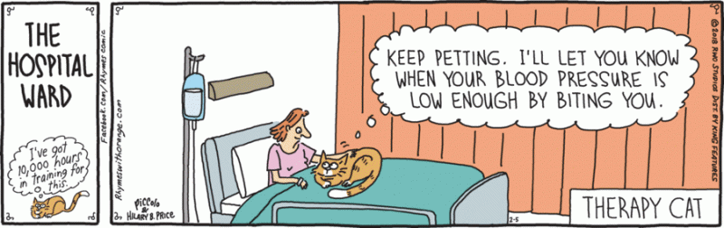 therapy cat.gif
