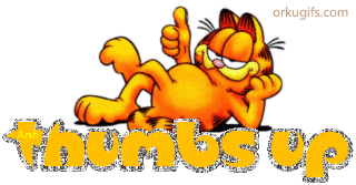 thumbs-up_2572.gif